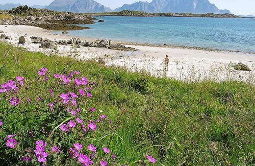 Bostad Casa | Three-Bedroom Holiday home in Leknes 1