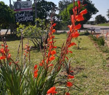 Maruleng Cama Y Desayuno | Three Bridges B&B