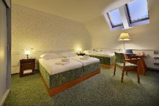 Zizkov Hotel | Three Crowns Hotel