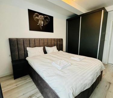 Sebes Apartamento | Thyon Apartments