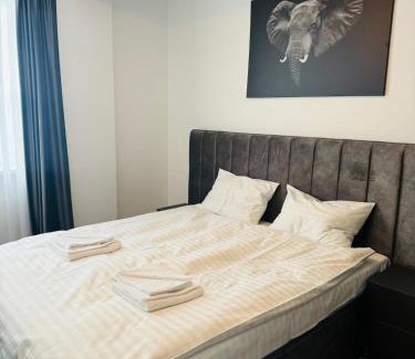 Sebes Apartamento | Thyon Apartments