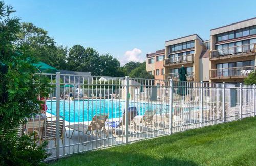 Caine Woods Apartamento | Tiburon 1B