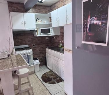 Mata Redonda Apartamento | Tico Experience in a Family-Friendly Neighborhood