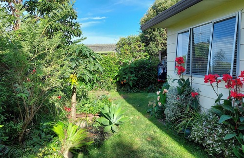 Tauranga Casa | Tidy and cozy cottage with private tropical garden 10 mins to Mount Maunganui