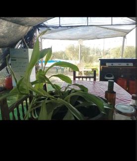 Almonte Otro | Tienda acogedora con piscina "Amantes de la naturaleza" 1