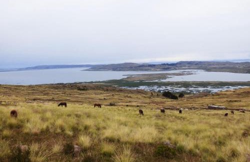 Lake Titicaca - Puno Apartamento | Tierra Espiritual - Andean Holistic Hotel