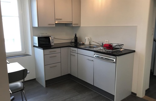 Uster District Apartamento | Tilia Apartments