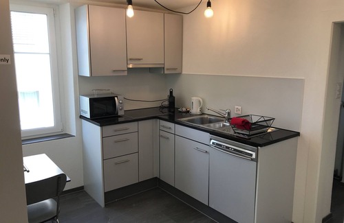 Uster District Apartamento | Tilia Apartments