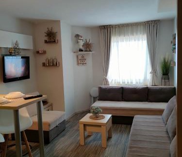 Kopaonik Apartamento | Tim 135 Konaci-Angella Centar