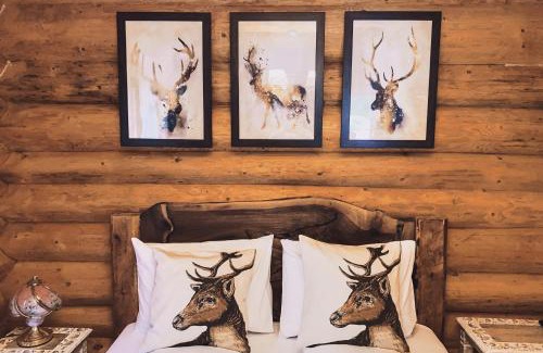 Rau Sadului Casa | Timber Charm Chalet