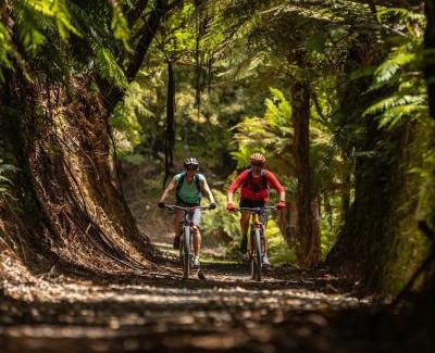 North Island Hotel | Timber Trail Lodge