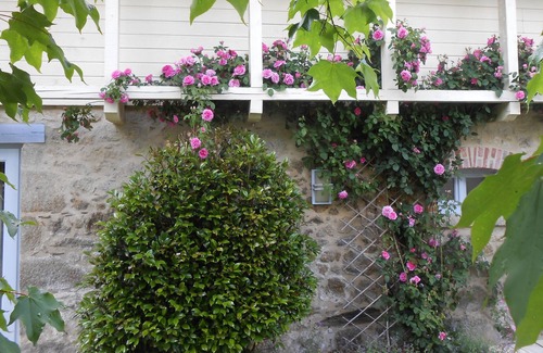 Boisset Casa | Tiny and very comfortable traditionnal Cottage for 2-3 people; garden and pool