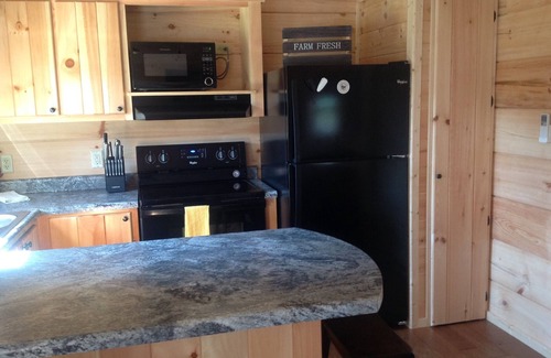 Mill Spring Cabina | CABINA PEQUEÑA EN TRYON NC - 3 MILLAS A TIEC- PET FRIENDLY
