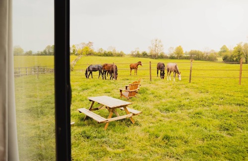 Saint-Etienne-la-Thillaye Cabina | Tiny House near Deauville