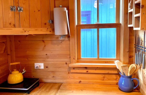 Point Roberts Cabina | Tiny home just steps from South Beach!