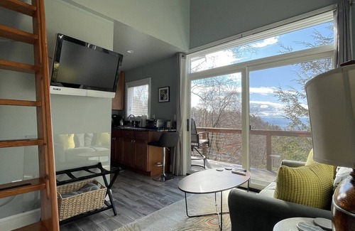 Asheville Cabaña | Venta de invierno Tiny House, Big Views! 8 min. al centro