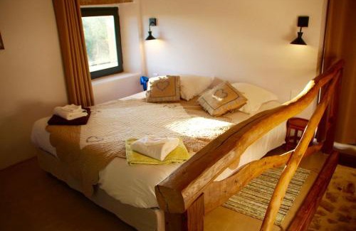 Saint-Remy Casa | Tiny house de charme - Piscine & Jaccuzi