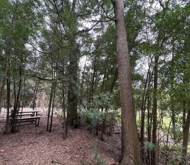 Chascomus Casa | Tiny house en pleno bosque a metros de la laguna