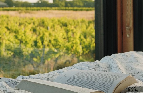 Arbis Cabina | Tiny House La Vendange Au Cœur des Vignes !