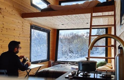 Saint-Jacques-d'Ambur Chalet De Esquí | Tiny House MOOSE HOME Les Chaumes