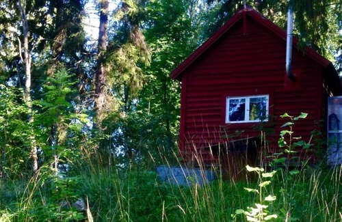 Avesta Cabina | Tiny hut in the Forest Overlooking the River