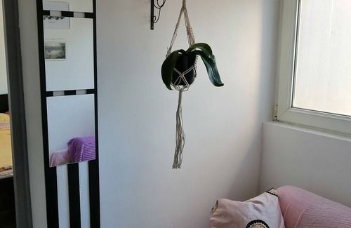 Palilula Apartamento | Tiny little flat