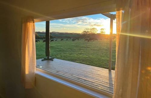 Wanganui District Cabina | Tiny living, Big escape!