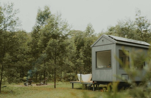 Markwell Cabina | Tiny Madeline Summary