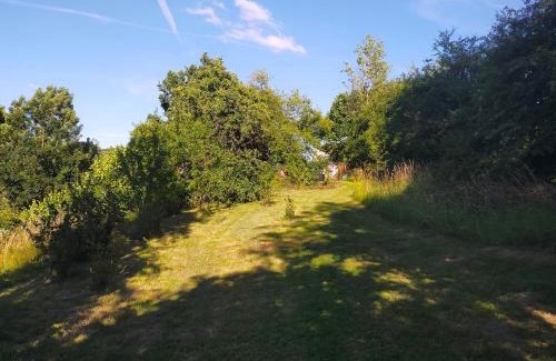 Messancy Casa | Tiny Messancy, une immersion dans la nature !