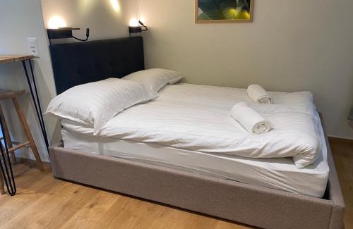 Old City of Bern Apartamento | Tiny Old Town Studio