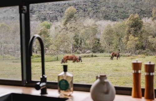 Upper Colo Cabina | Tiny Thomas Summary:
