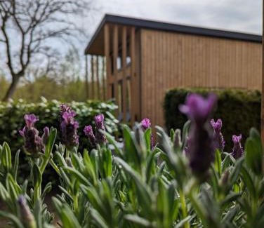 Papenburg Casa | Tinyhouse Daniel