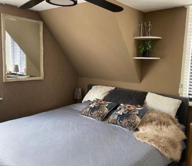 Zaandam Casa | Tinyhouse Woody at the Water