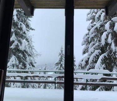 Zlatibor Casa | Titova vila - Zlatar