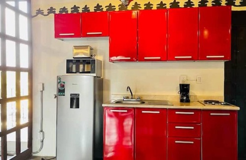 Alvaro Obregon Apartamento | Tizapán Increíble apartamento 1BE/1BA
