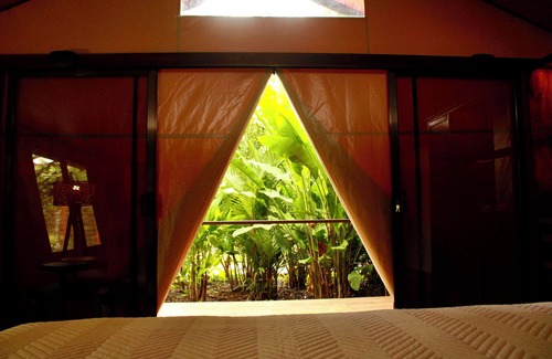 Cano Negro Otro | Tocu Tent Camp - All Meals Included