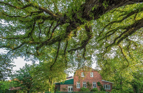 Spiekeroog Apartamento | Tolle Ferienwohnung im Osten des Dorfes! Auf ca