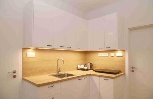 Borovany Apartamento | TOP apartmán Novohradské hory