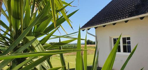 Urloffen Casa | top Haus 160m2 Europapark,Strasburg,Schwarzwald