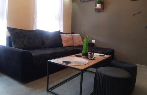 Primorski Apartamento | Top Studio Vinica