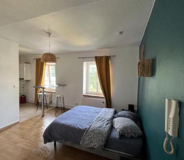 Sarrebourg Apartamento | Torino - 2P - Appartement raffiné