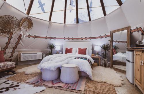 Nogal Otro | Toro Tipi at El Mistico Ranch