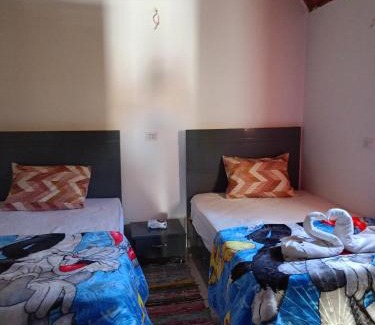 Aswan Casa | Toto Kato