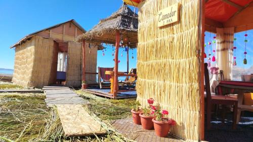 Puno Casa | Totora Wasi