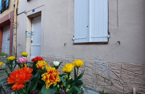Montastruc-la-Conseillere Apartamento | Toulouse 15 min apartment for 2 people renovated