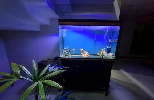 Santa Cruz Casa | Tourist House