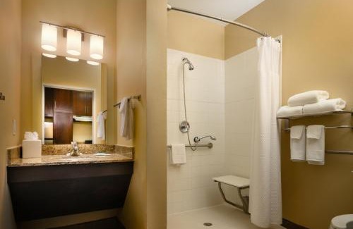 Gulfton Hotel | TownePlace Suites by Marriott Houston Galleria Area