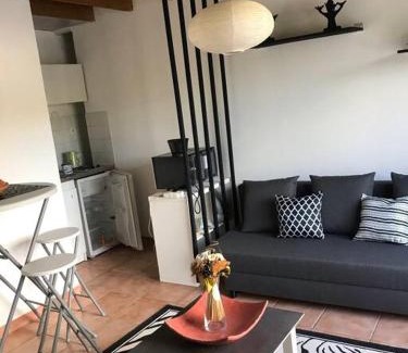 Boisset-et-Gaujac Apartamento | Très beau T2 dans mas .