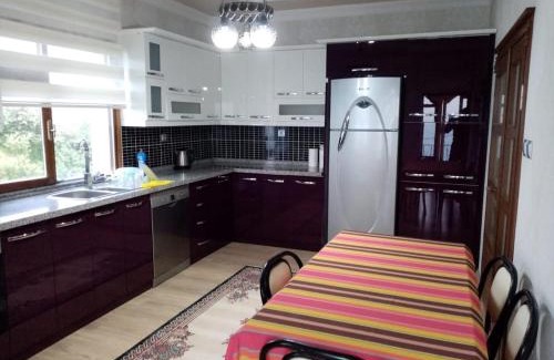 Trabzon Apartamento | Trabzon Gürbulakta kiralık villa
