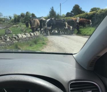 Newtownards Casa | Tracey's Farmhouse Cottage